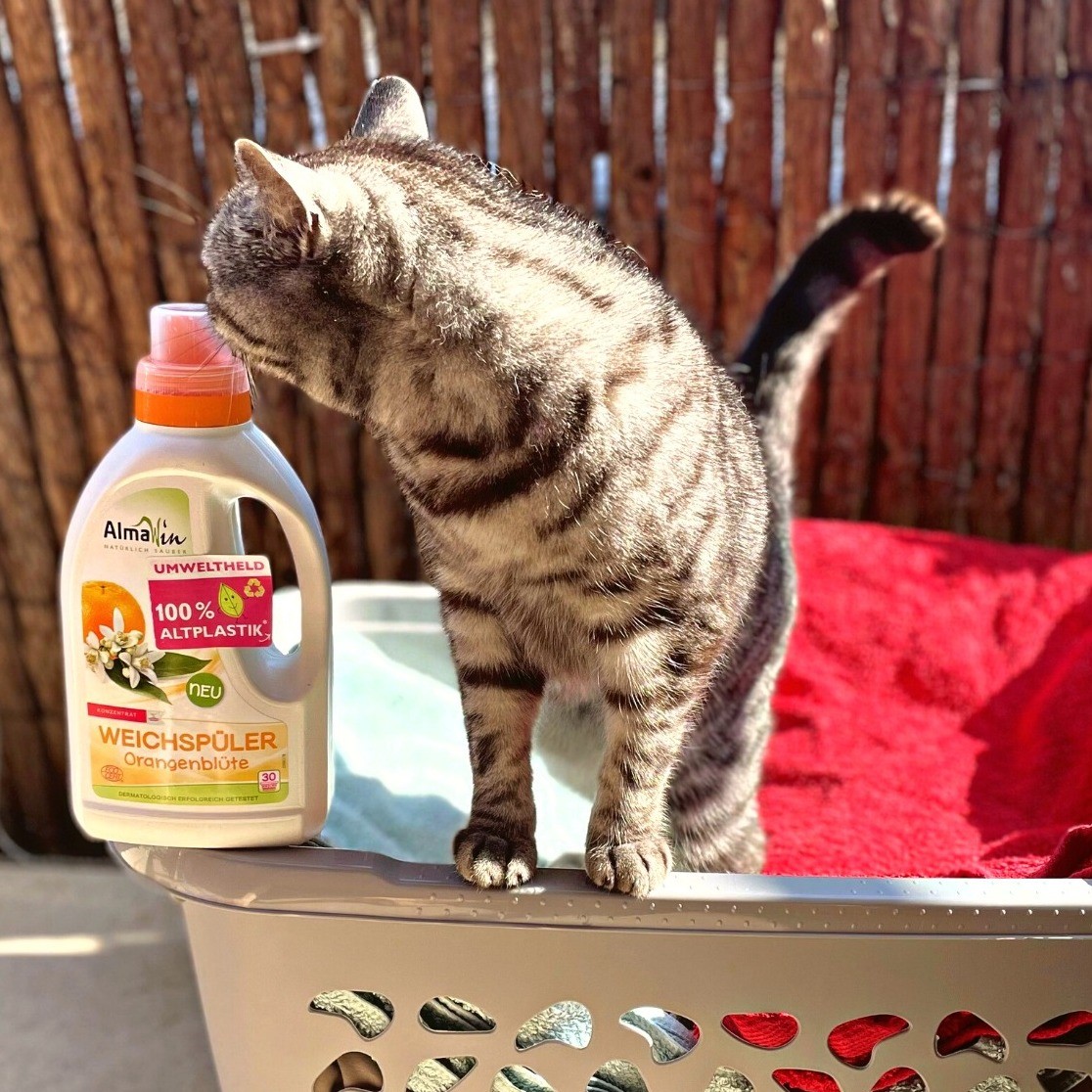 Almawin aviváž pomeranč